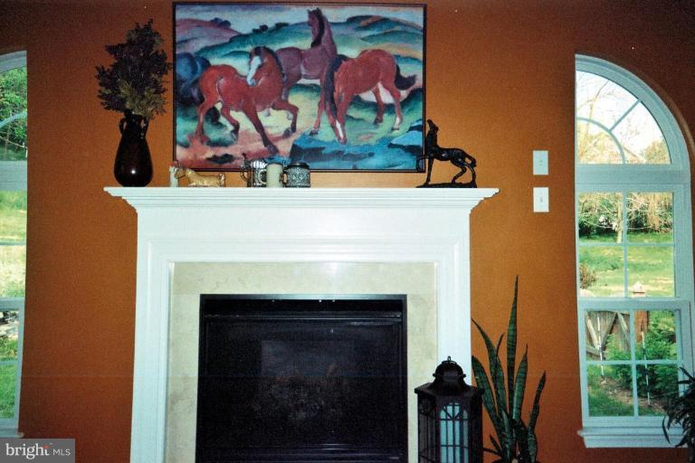 4420 Bark Hill Road Union Bridge, MD 21791 - Photo 10 of 30 Fireplace