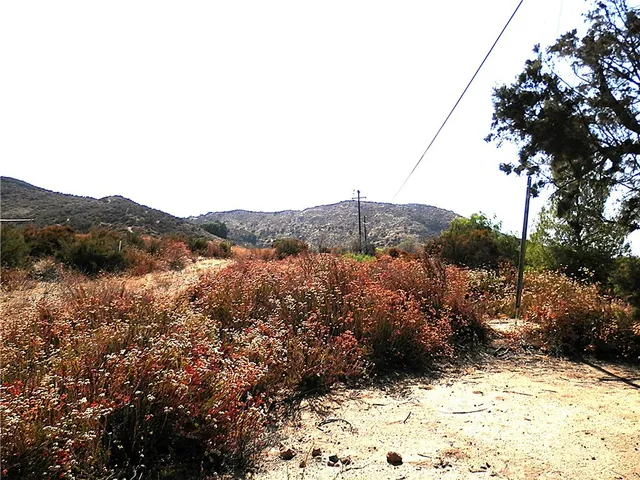 a view of a large tree with a yard