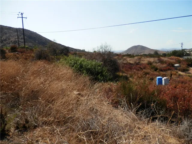 a view of a dry yard with a tree