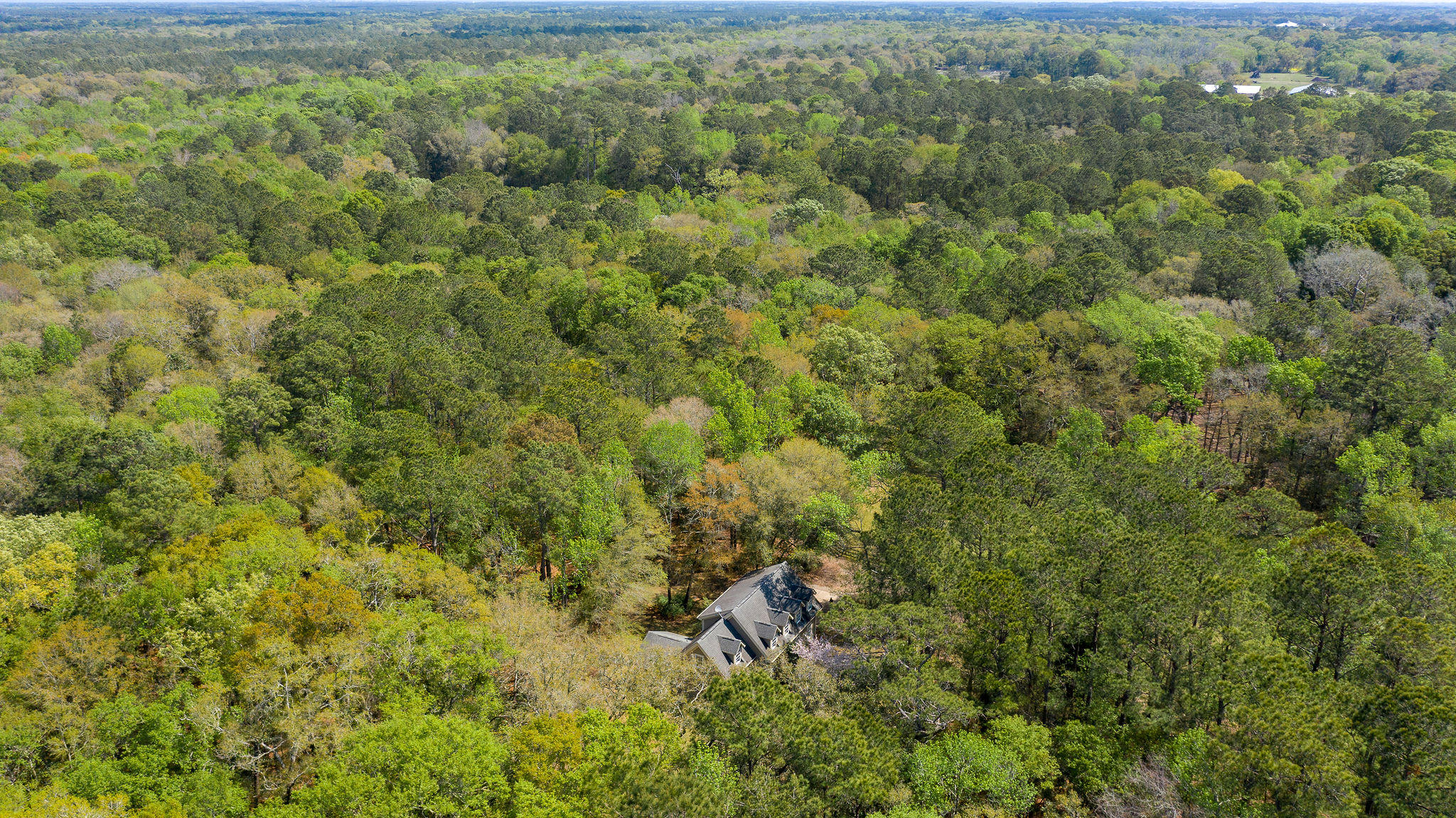 4230 River Road Johns Island, SC 29455 - Photo 1 of 65 4230RiverRoad-74