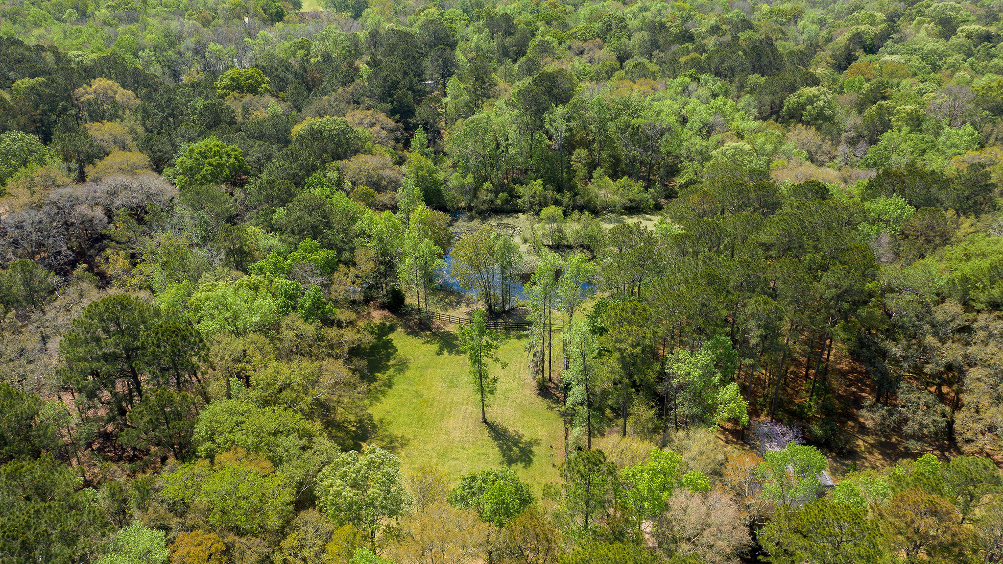 4230 River Road Johns Island, SC 29455 - Photo 2 of 65 4230RiverRoad-82