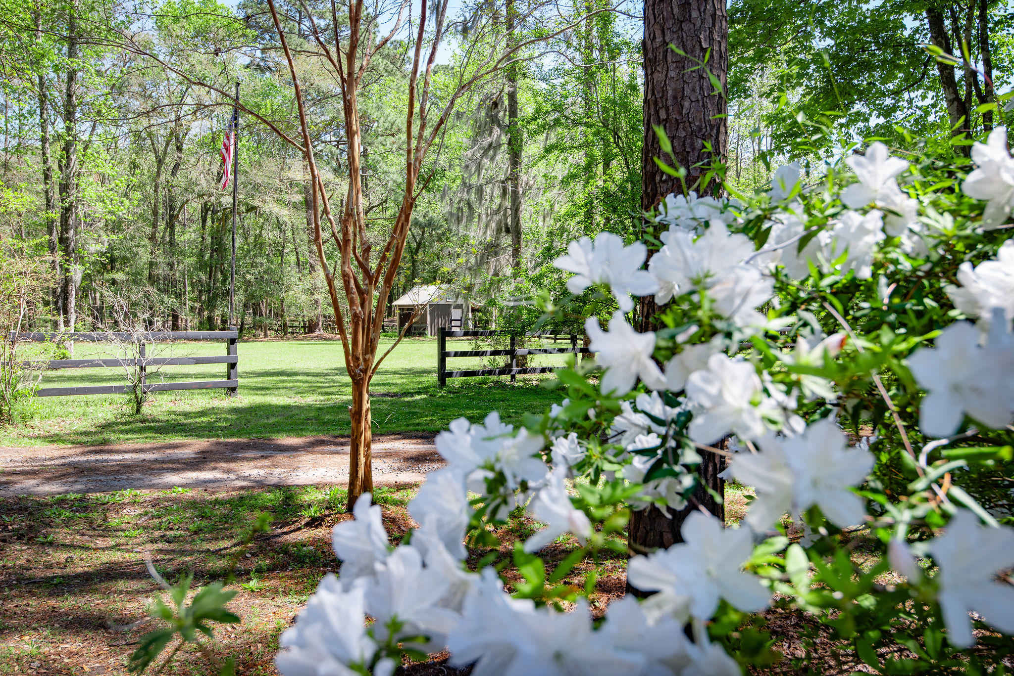 4230 River Road Johns Island, SC 29455 - Photo 32 of 65 4230RiverRoadAdditional-2