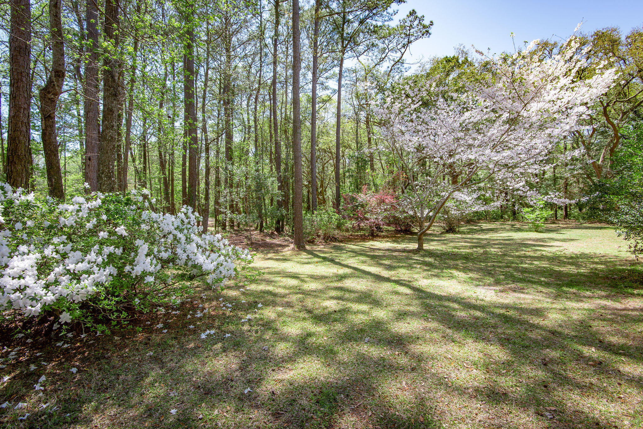 4230 River Road Johns Island, SC 29455 - Photo 6 of 65 4230RiverRoadAdditional-1