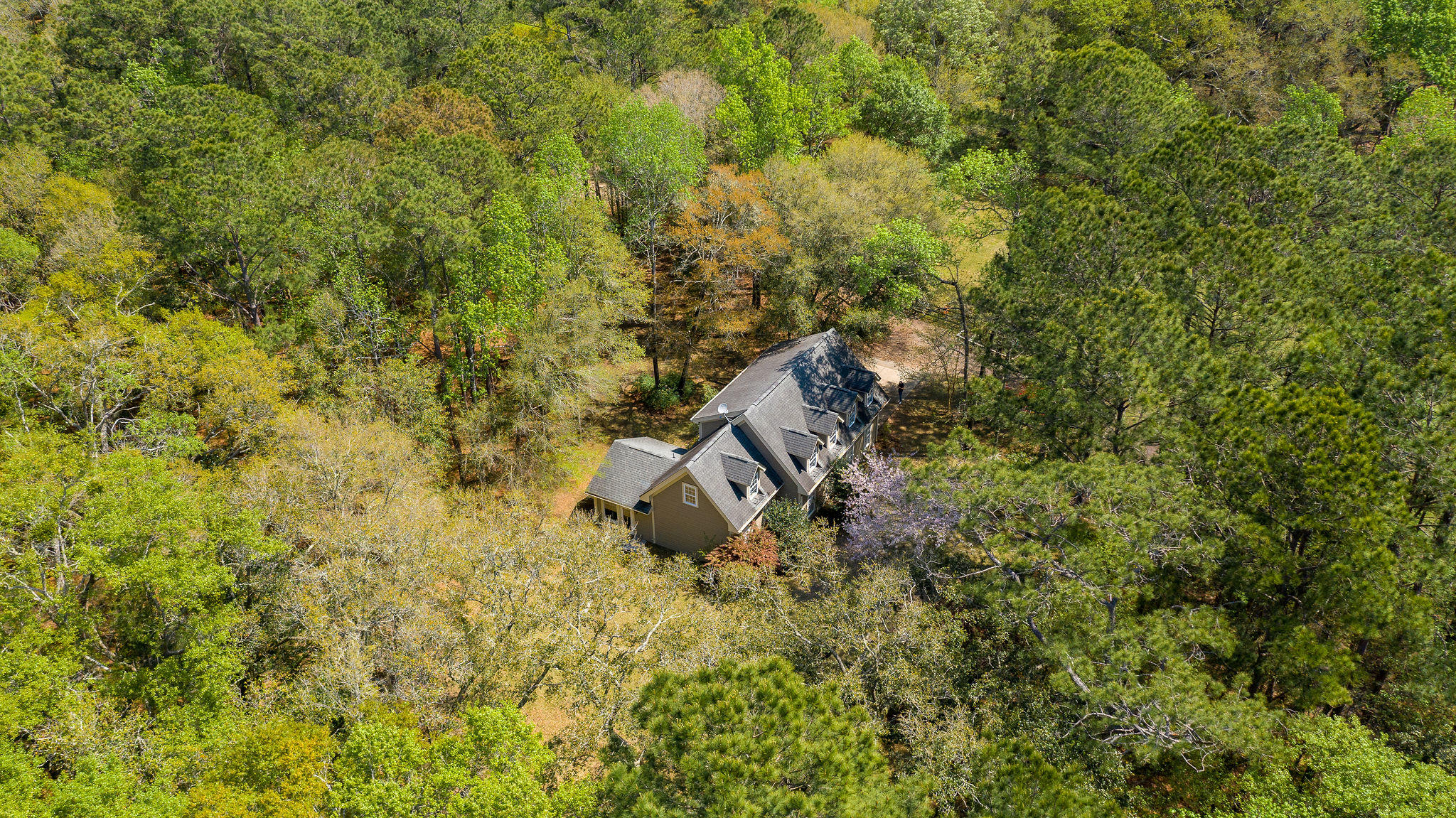 4230 River Road Johns Island, SC 29455 - Photo 7 of 65 4230RiverRoad-75
