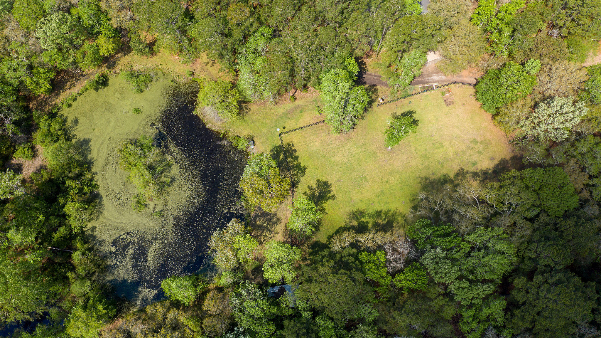 4230 River Road Johns Island, SC 29455 - Photo 62 of 65 4230RiverRoad-83