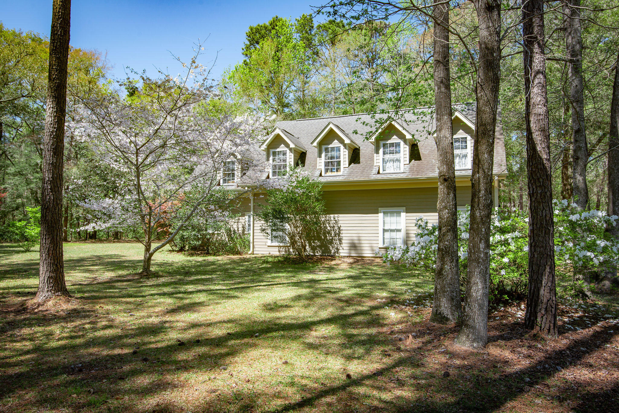 4230 River Road Johns Island, SC 29455 - Photo 9 of 65 4230RiverRoadAdditional-5