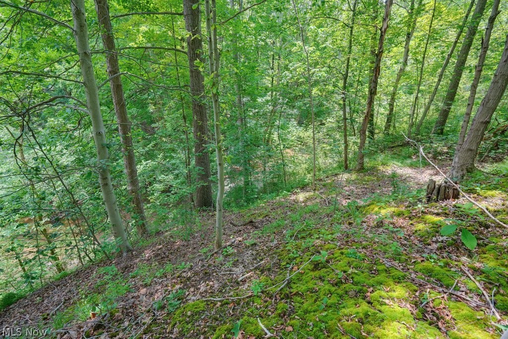 0 North Chillicothe Road Aurora, OH 44202 - Photo 14 of 36