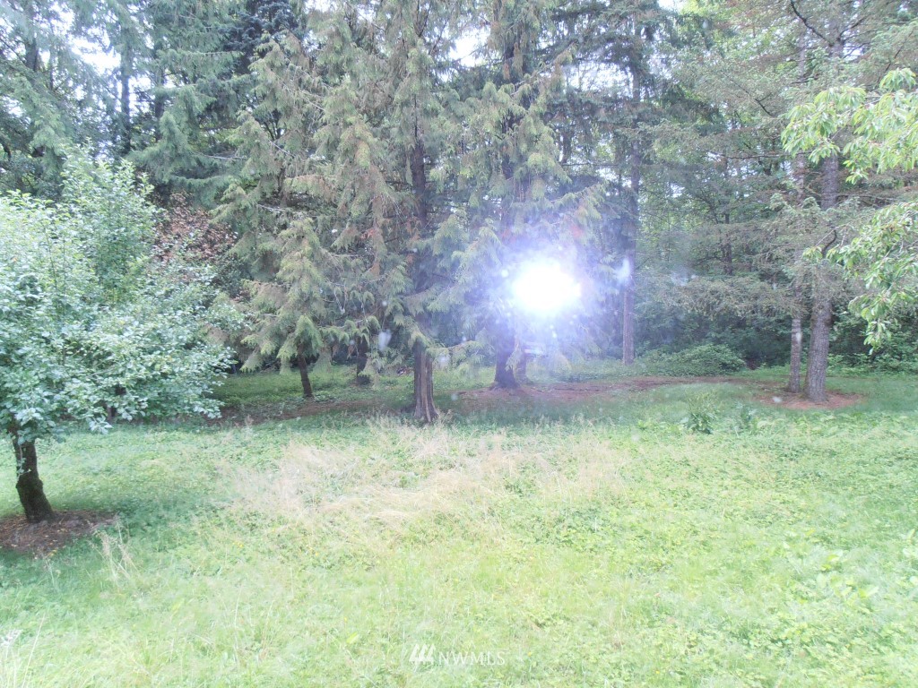 283 Middle Fork Road Chehalis, WA 98532 - Photo 7 of 13