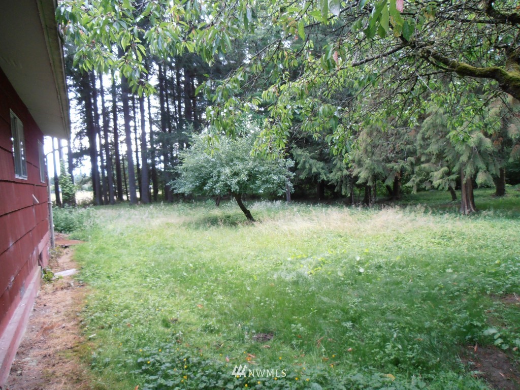 283 Middle Fork Road Chehalis, WA 98532 - Photo 9 of 13