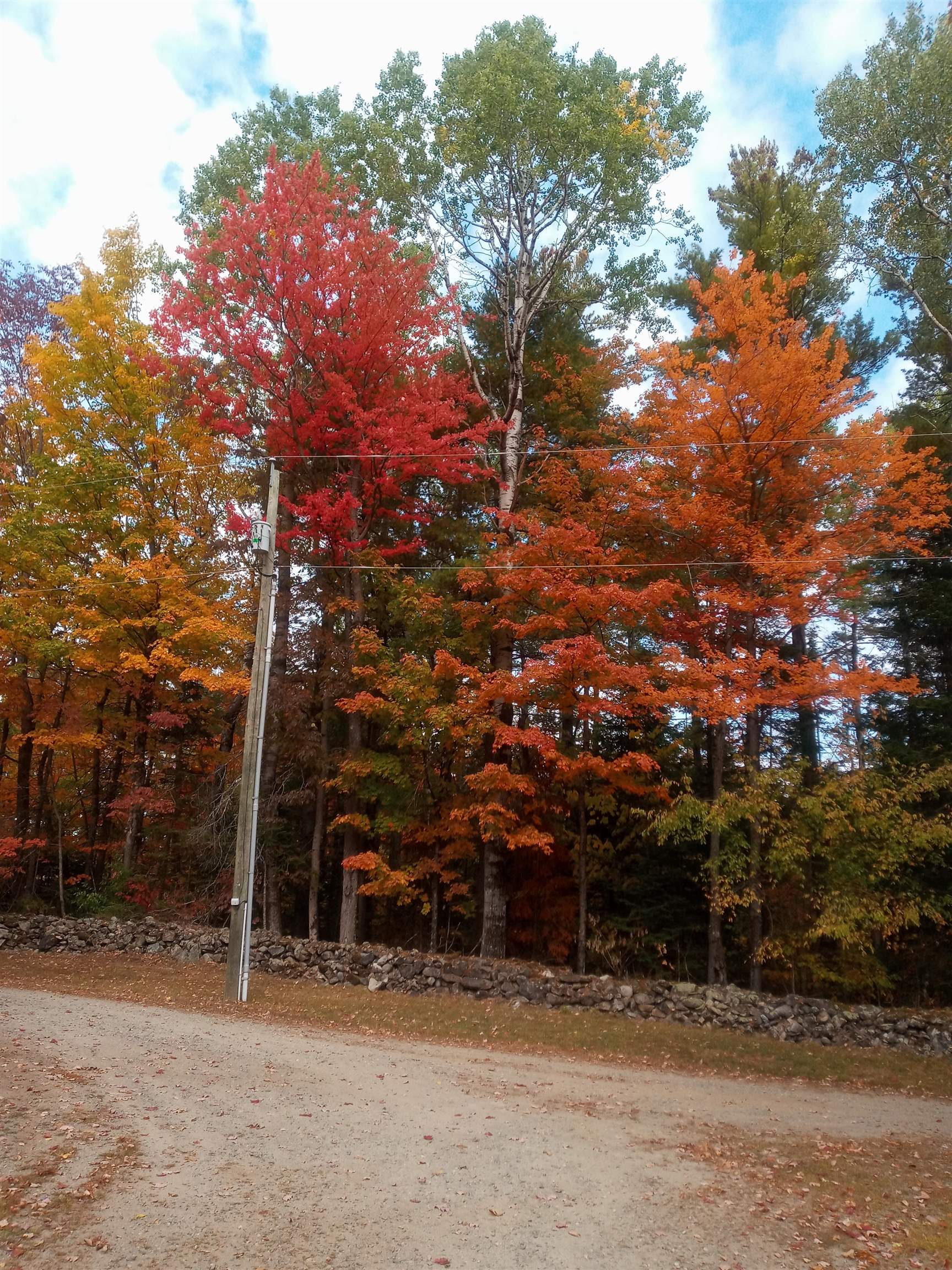 9 Woodthrush Acres Road Whitefield, NH 03598 - Photo 37 of 39