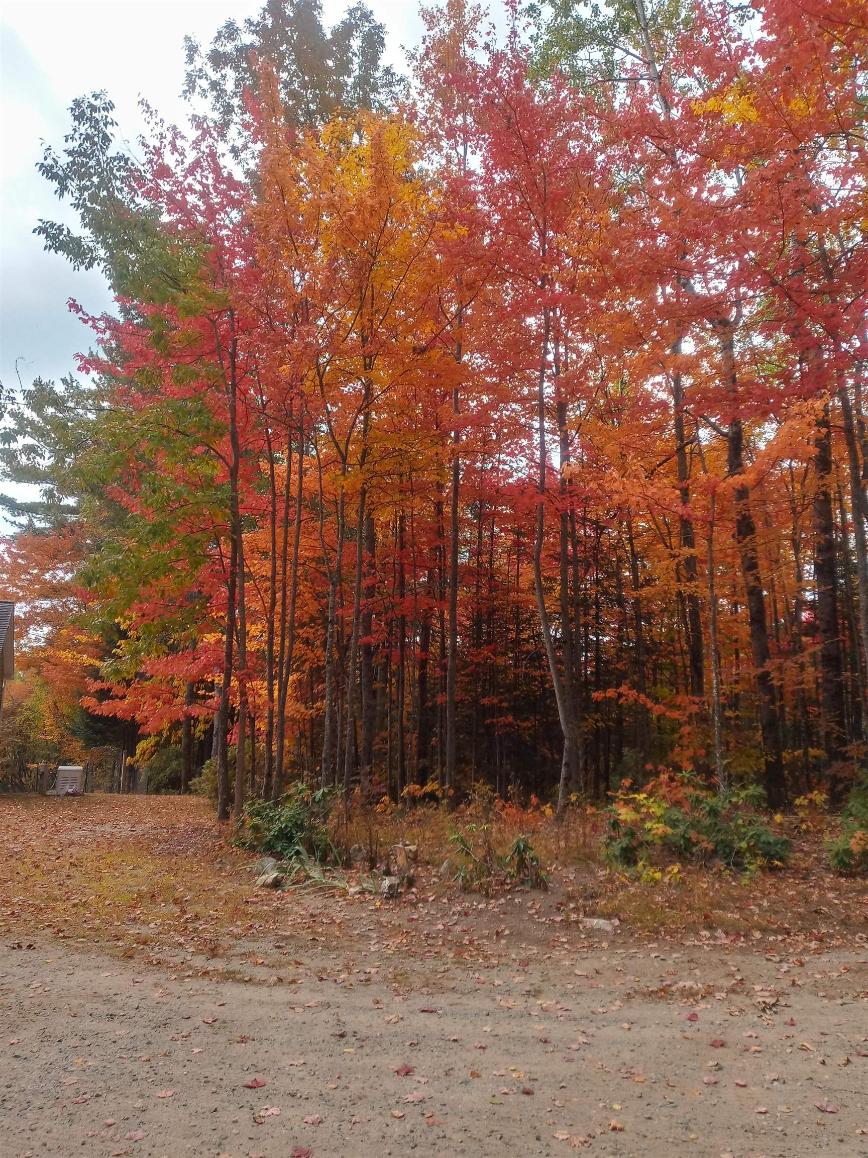 9 Woodthrush Acres Road Whitefield, NH 03598 - Photo 38 of 39