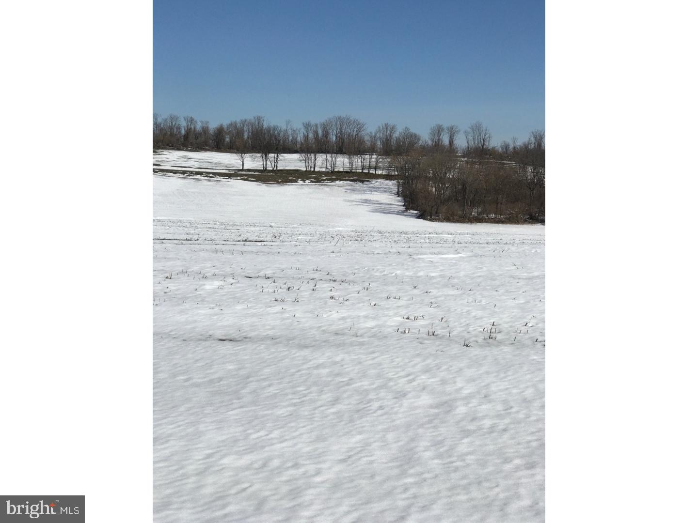Lot 4 Paper Mill Road Sinking Spring, PA 19608 - Photo 2 of 9