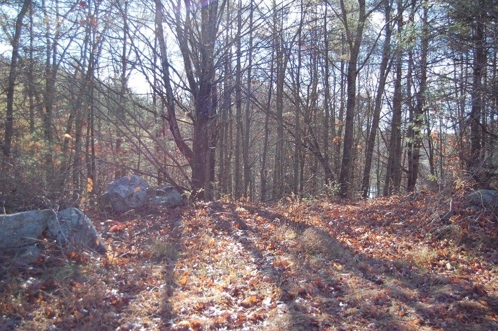 274 Pond Street Dunstable, MA 01827 - Photo 1 of 8 a backyard of a house with lots of green space