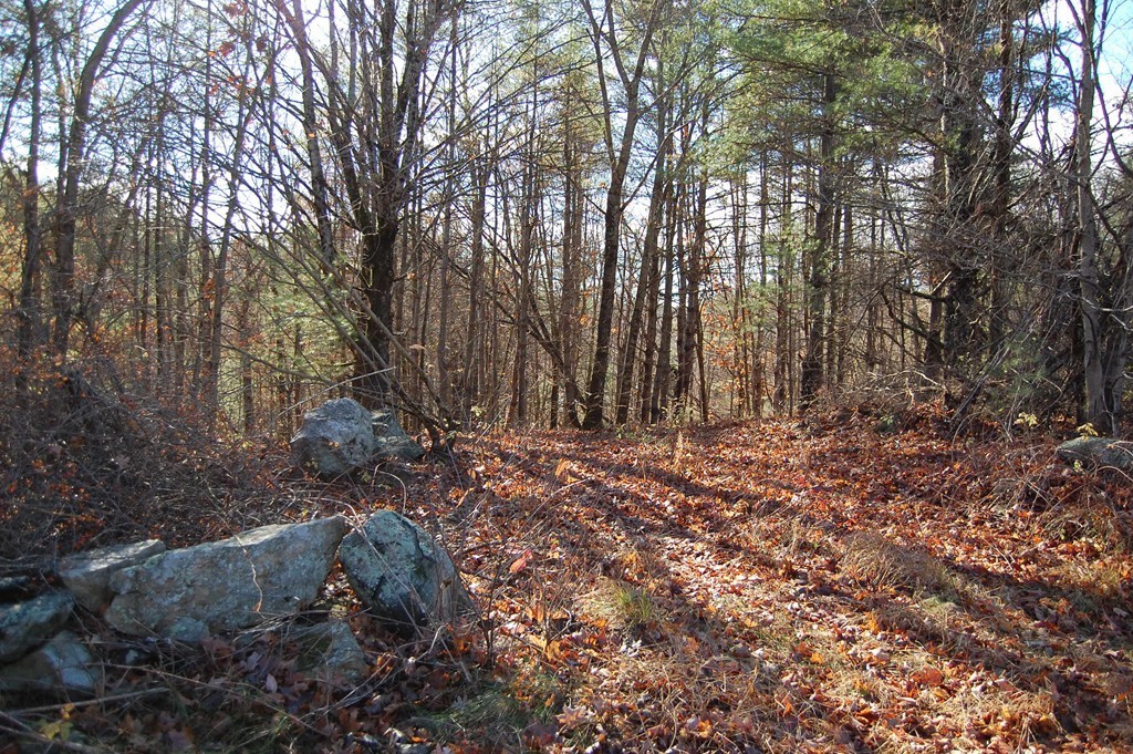 274 Pond Street Dunstable, MA 01827 - Photo 2 of 8 a view of outdoor space and yard