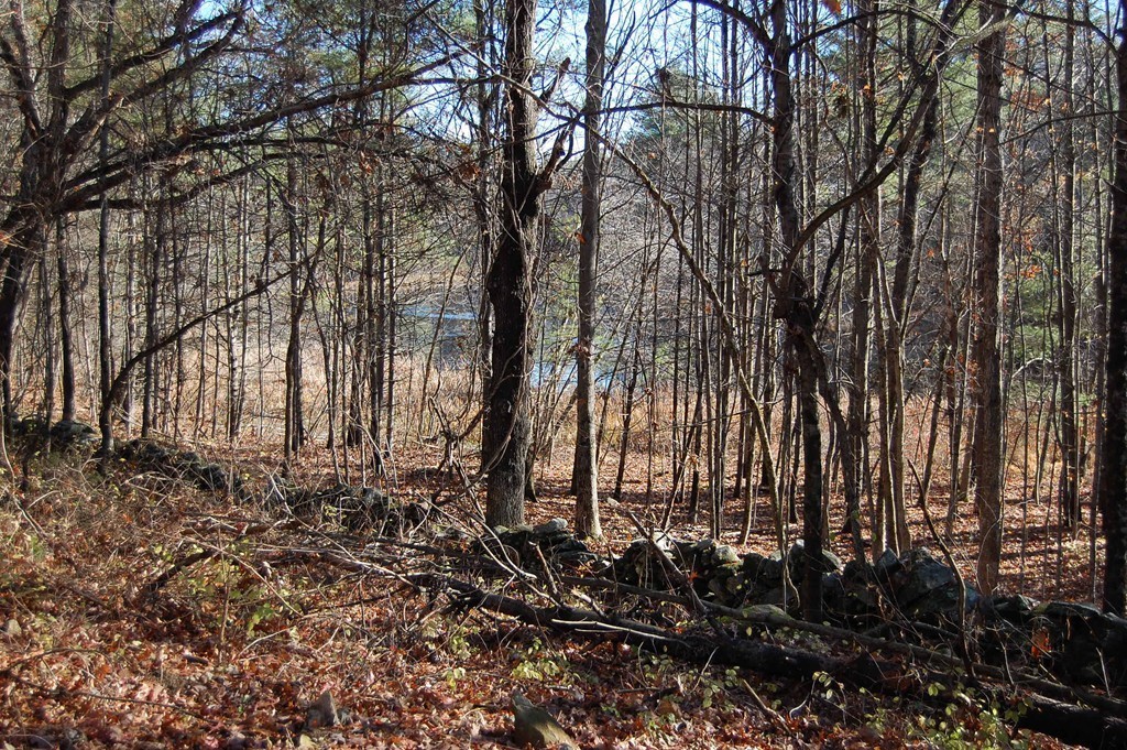 274 Pond Street Dunstable, MA 01827 - Photo 6 of 8 a view of a backyard of the house
