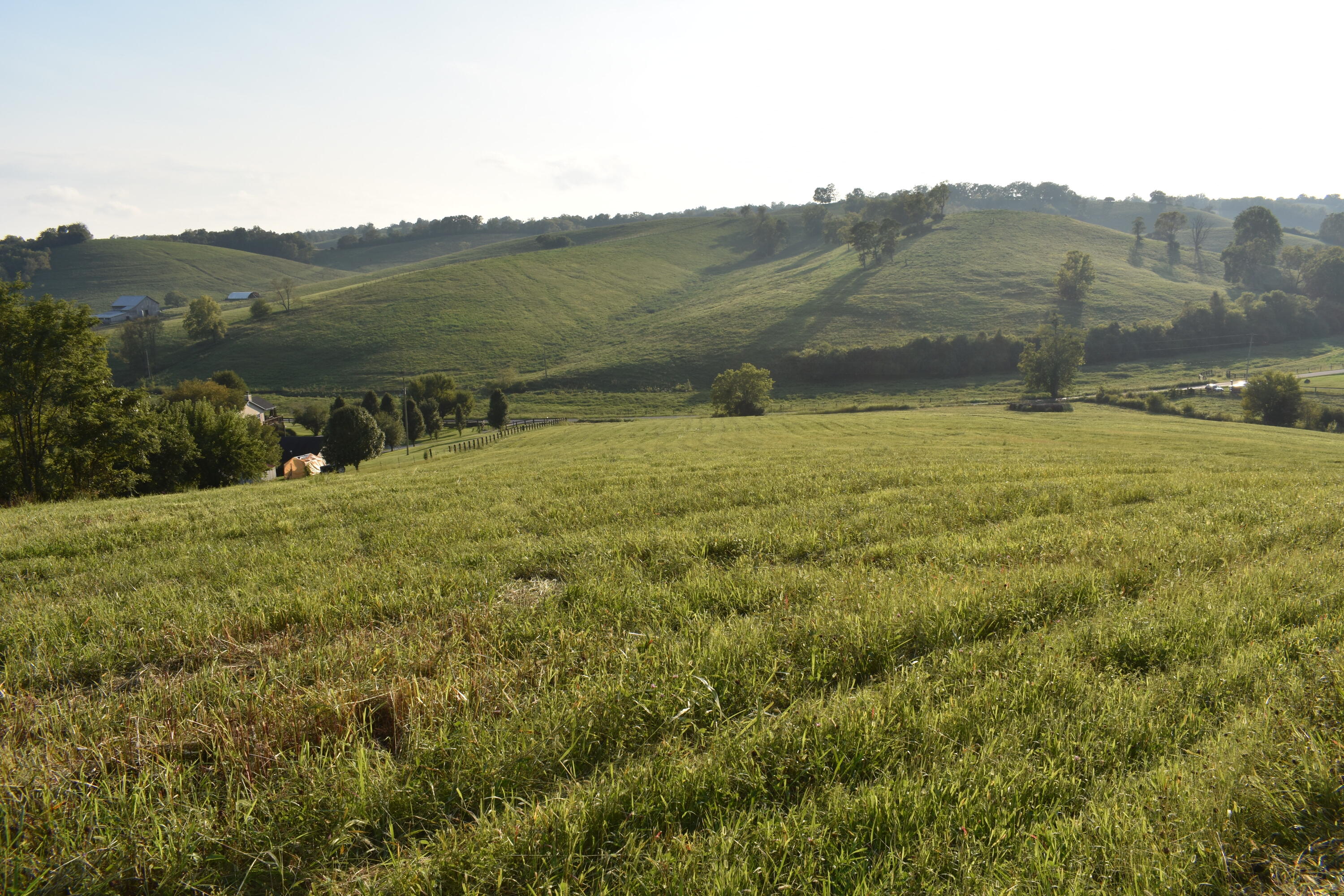 2136 Cole Road Winchester, KY 40391 - Photo 1 of 11 DSC_0479