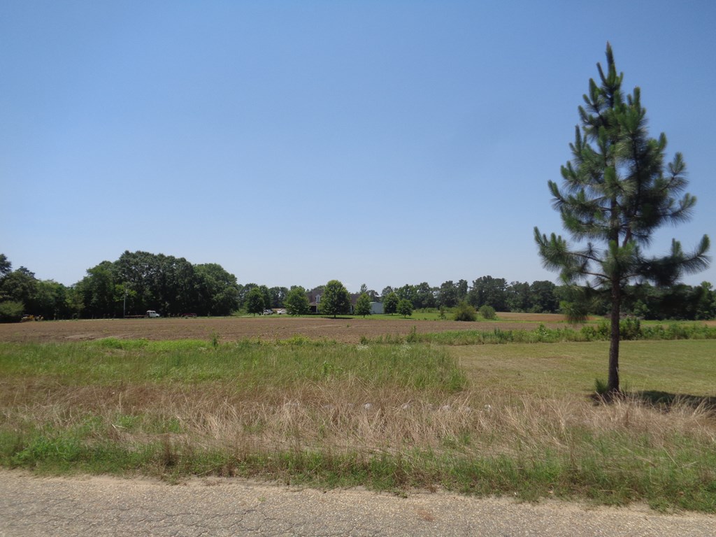 8-ac Littlefield Road Dothan, AL 36301 - Photo 6 of 9