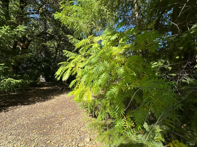 $195,000 | 51901 Stivers Road, Laytonville, CA 95454