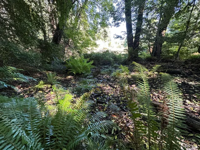 $195,000 | 51901 Stivers Road, Laytonville, CA 95454