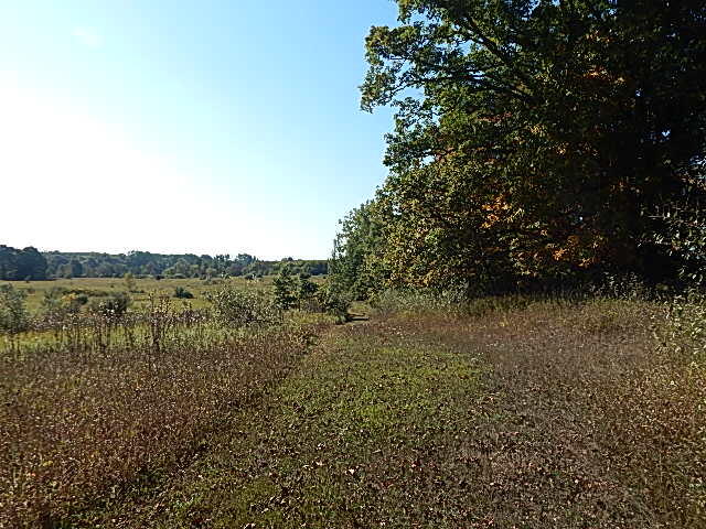 2857 Oakley Road Stockbridge, MI 49285 - Photo 11 of 27 DSCN1630
