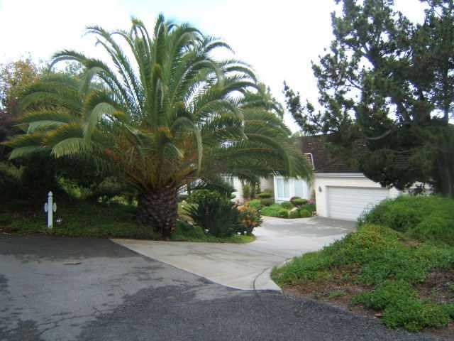 381 Rancho Camino Fallbrook, CA 92028 - Photo 2 of 13