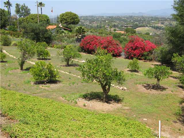 381 Rancho Camino Fallbrook, CA 92028 - Photo 13 of 13