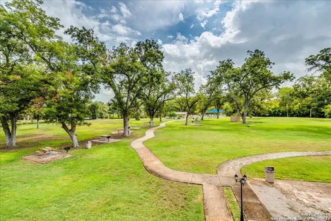 a view of a park with large trees