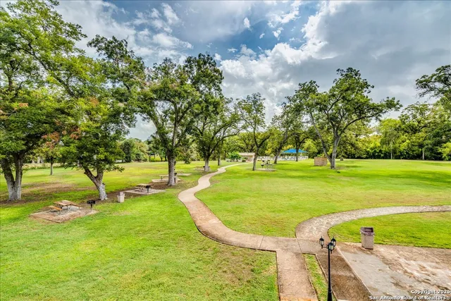 a view of a park with large trees