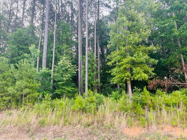 Lot 6 Crow Road Dalton, GA 30721 - Photo 2 of 3 IMG_0336