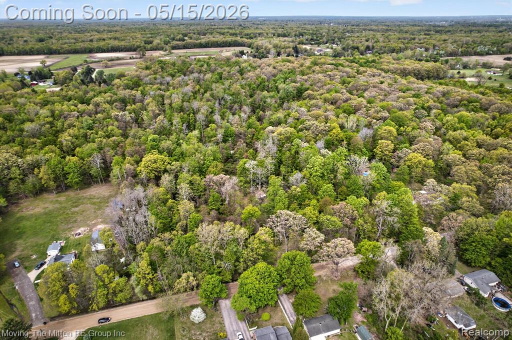 22530 Bohn Road Belleville, MI 48111 - Photo 24 of 28