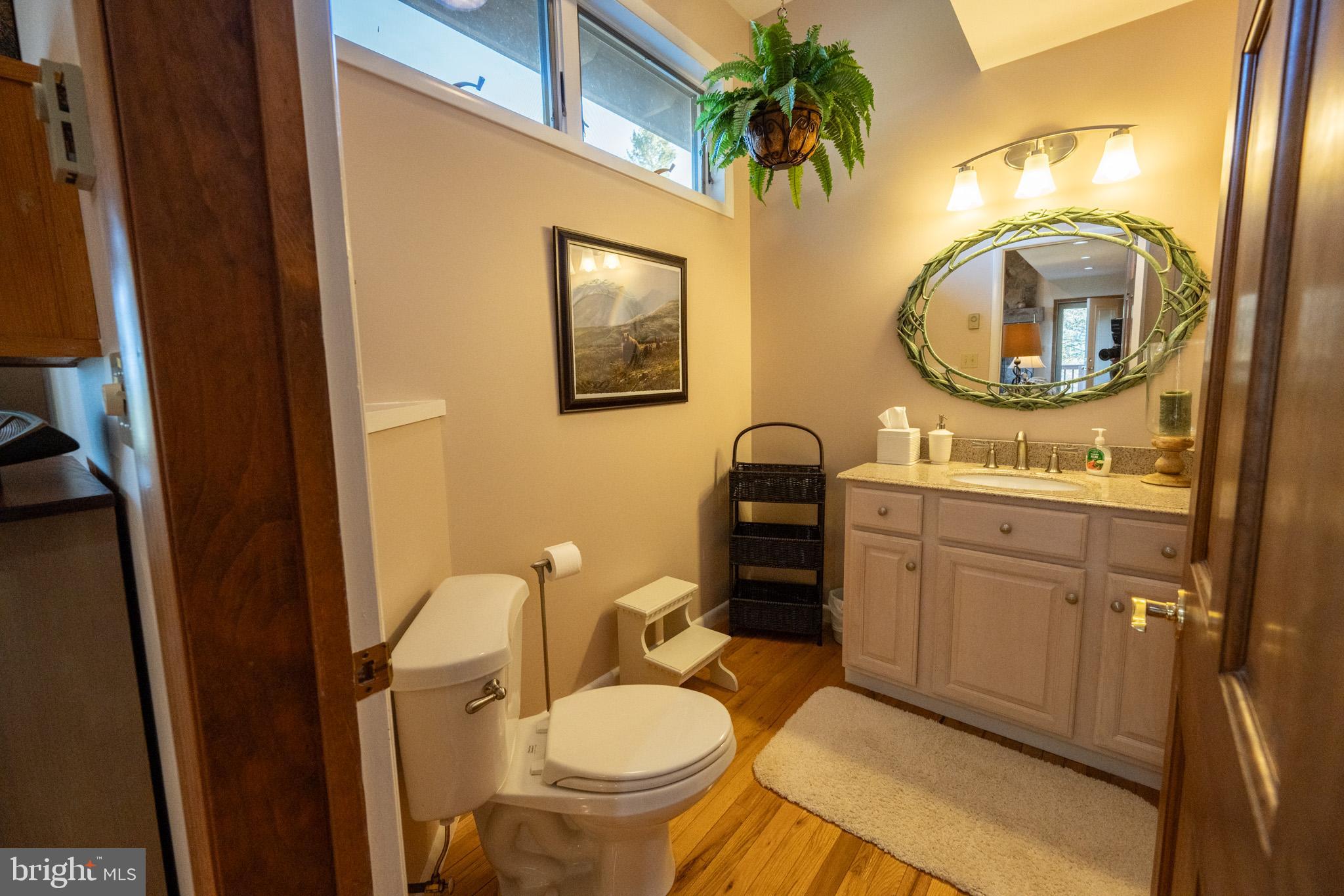59 Glenview Road Swanton, MD 21561 - Photo 21 of 85 a bathroom with a toilet a sink and a mirror