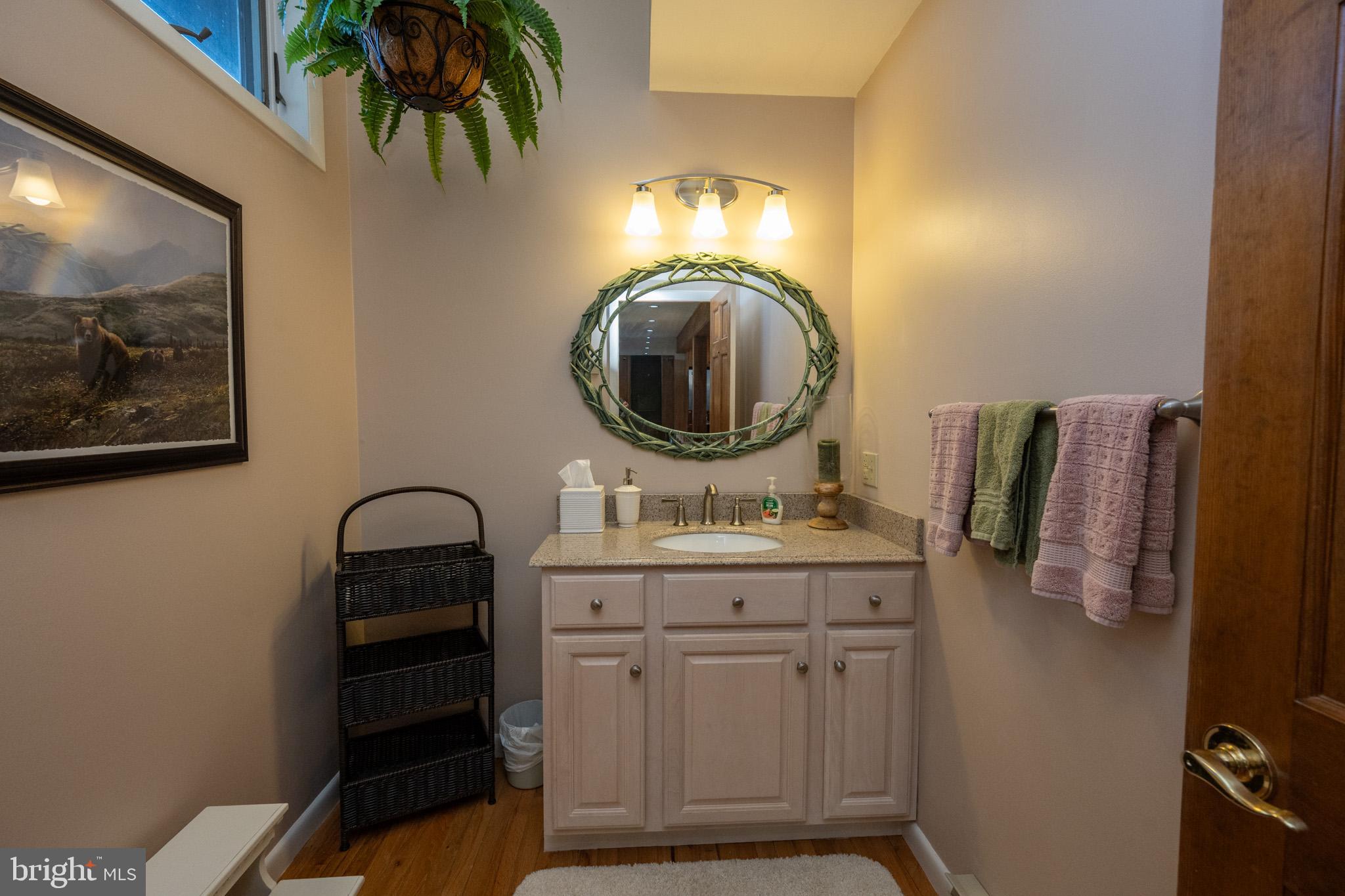 59 Glenview Road Swanton, MD 21561 - Photo 22 of 85