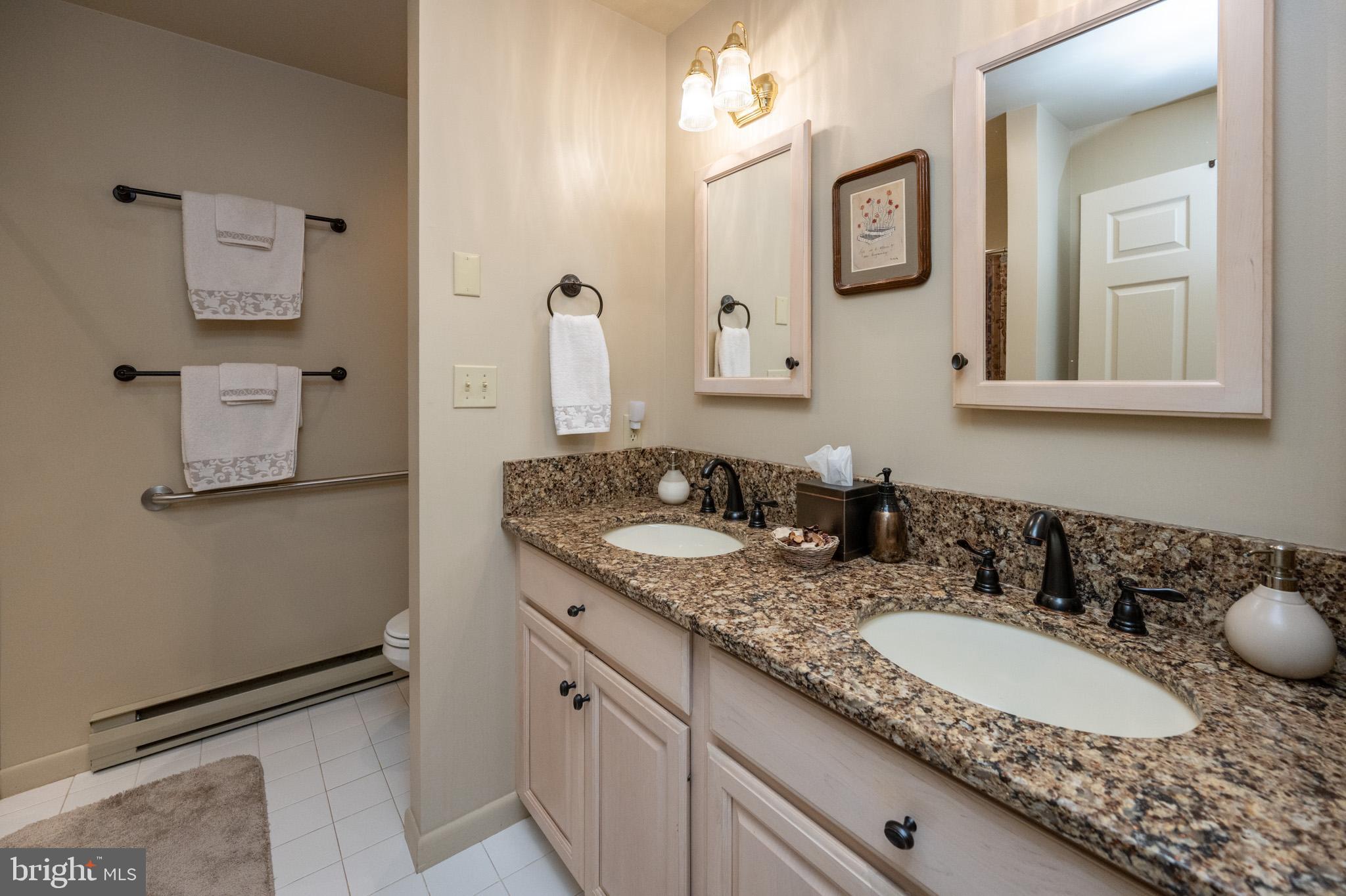 59 Glenview Road Swanton, MD 21561 - Photo 29 of 85 a bathroom with a granite countertop sink and a mirror