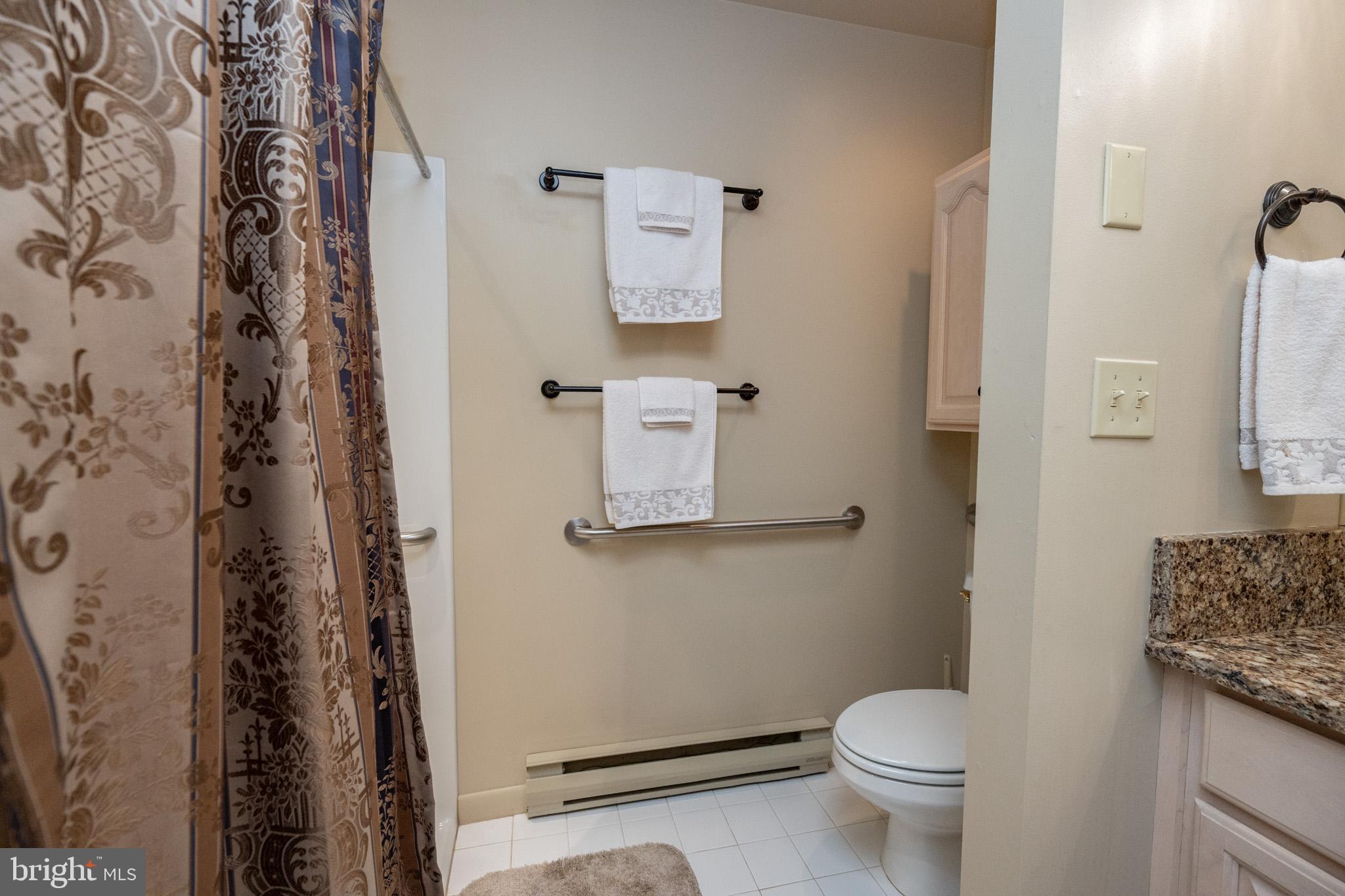 59 Glenview Road Swanton, MD 21561 - Photo 30 of 85 a bathroom with a toilet and a shower