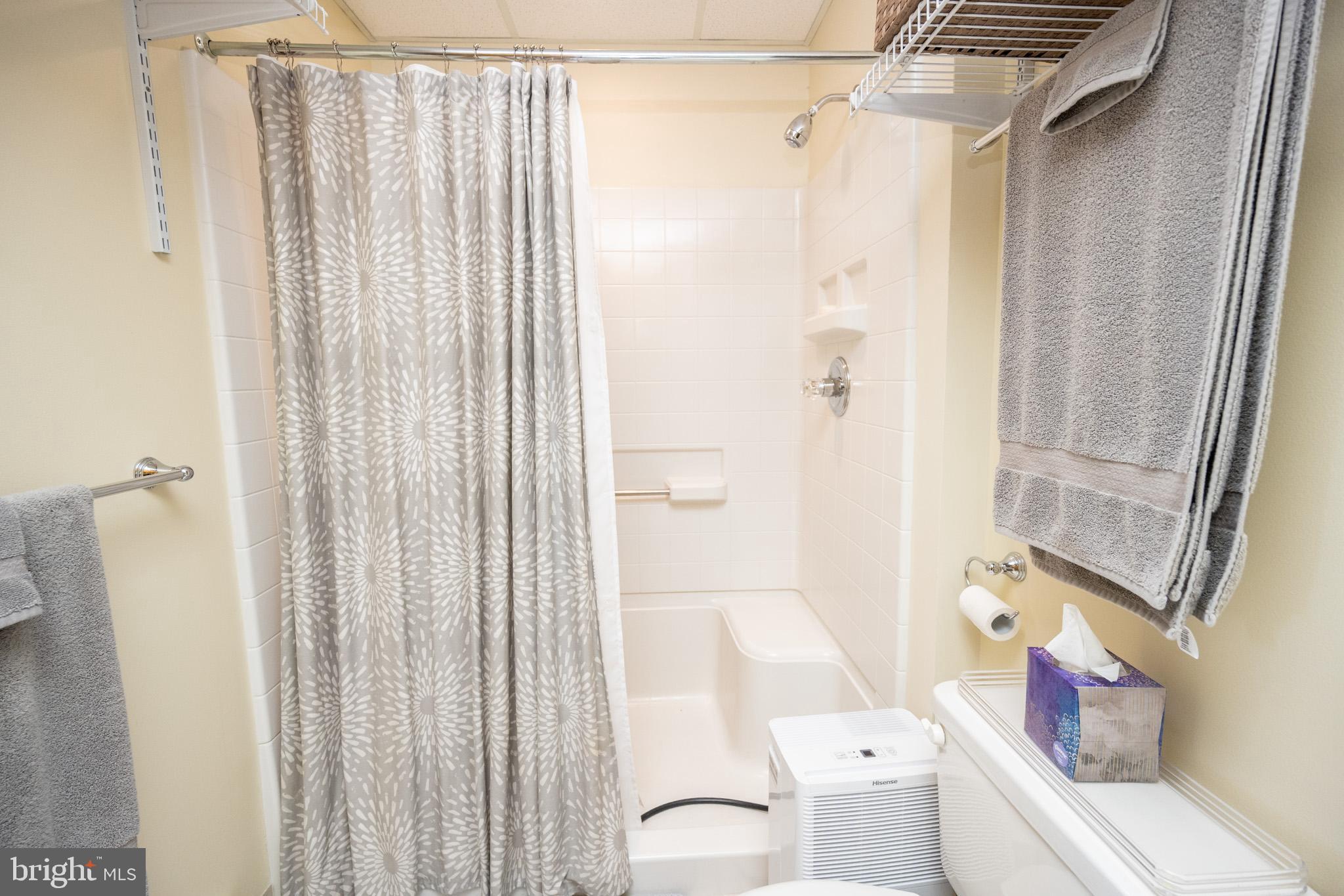 59 Glenview Road Swanton, MD 21561 - Photo 52 of 85 a bathroom with a sink a toilet and shower curtain