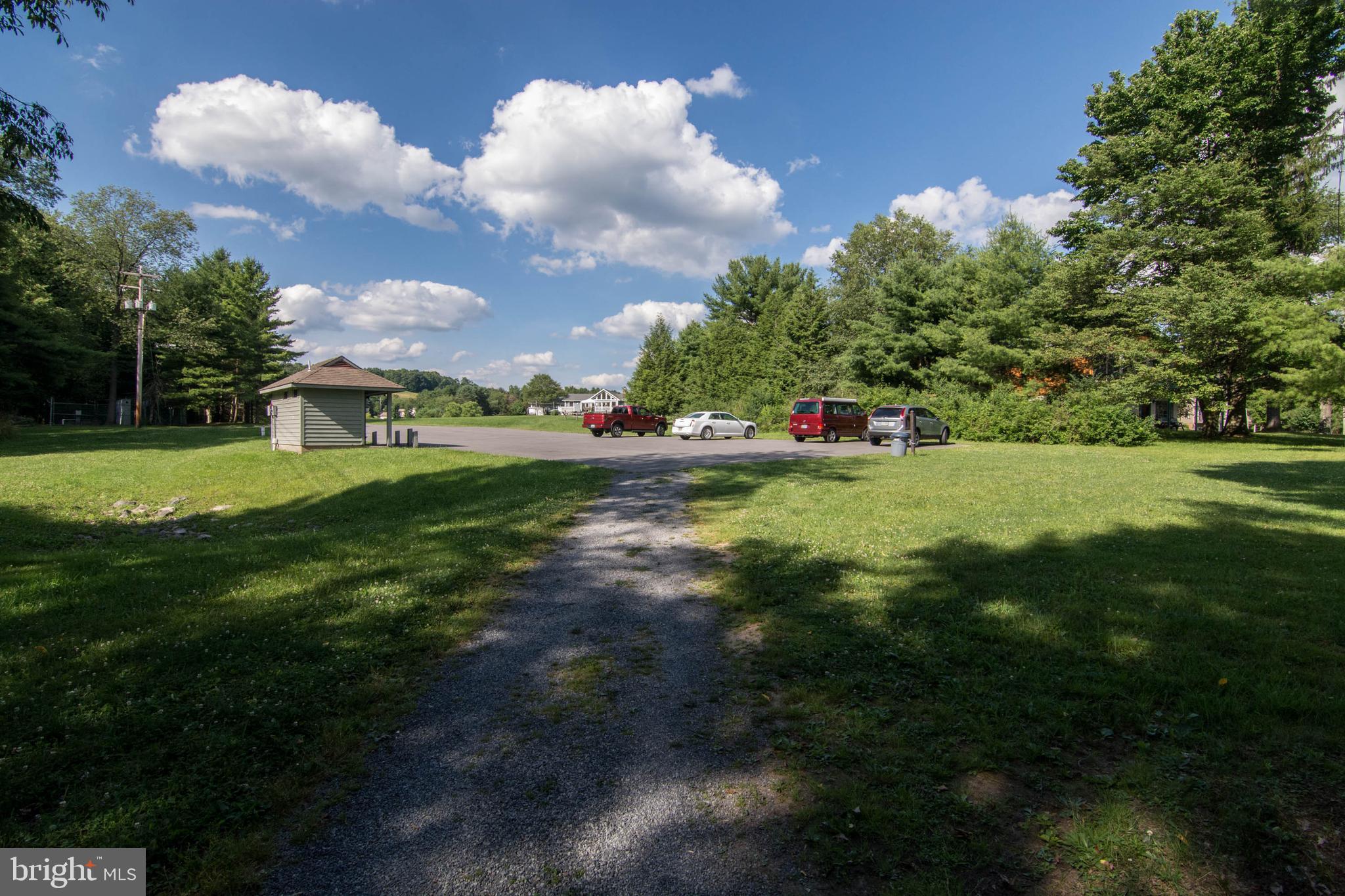 59 Glenview Road Swanton, MD 21561 - Photo 82 of 85 a view of a big yard with plants and large trees