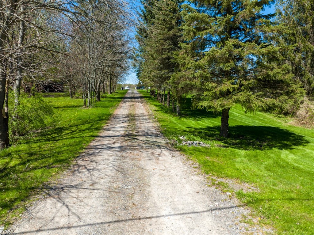 6817 North Centenary Road Williamson, NY 14589 - Photo 1 of 1 Gallery Image 1