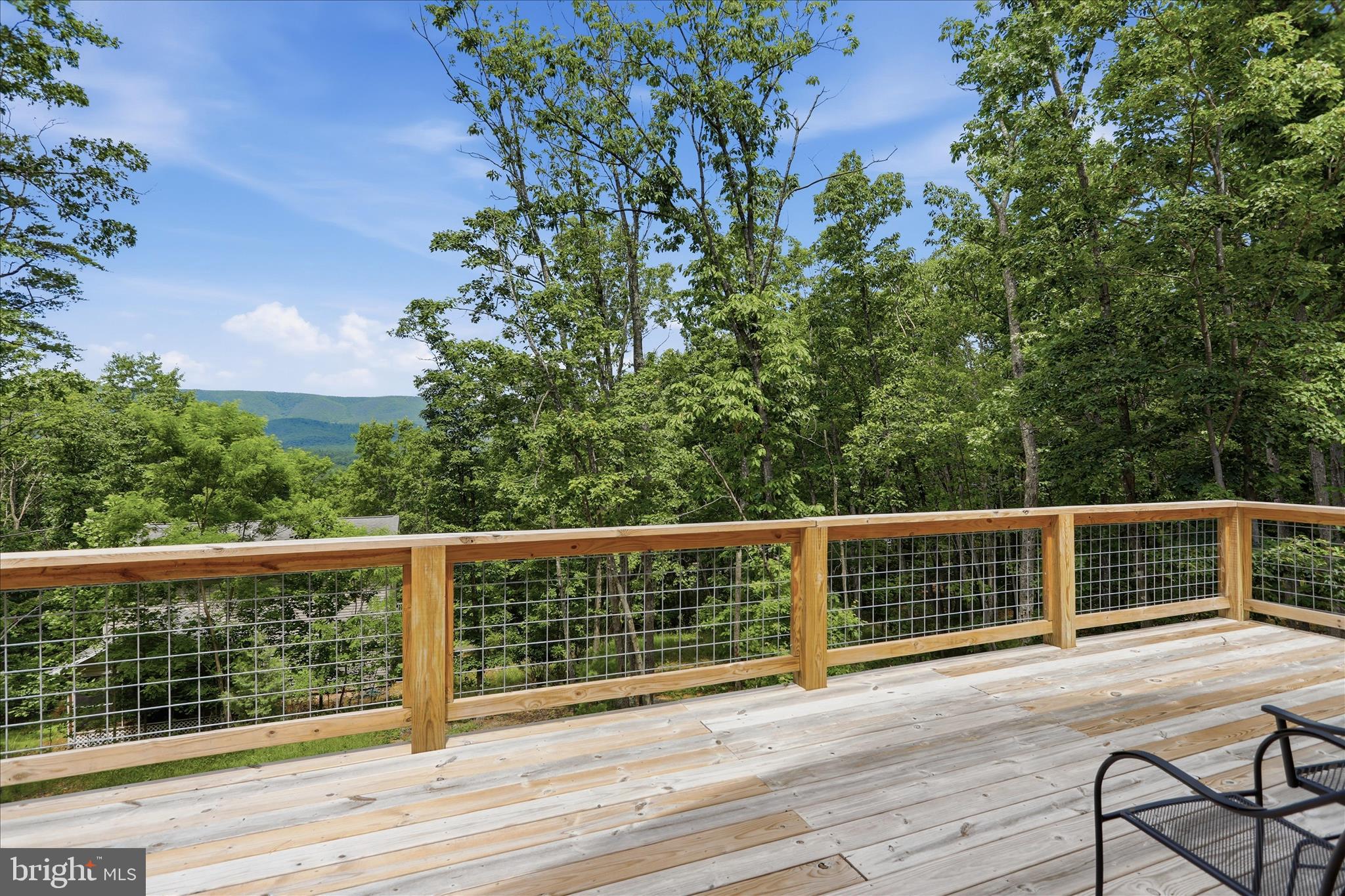 8315 Supinlick Ridge Road Mount Jackson, VA 22842 - Photo 12 of 50