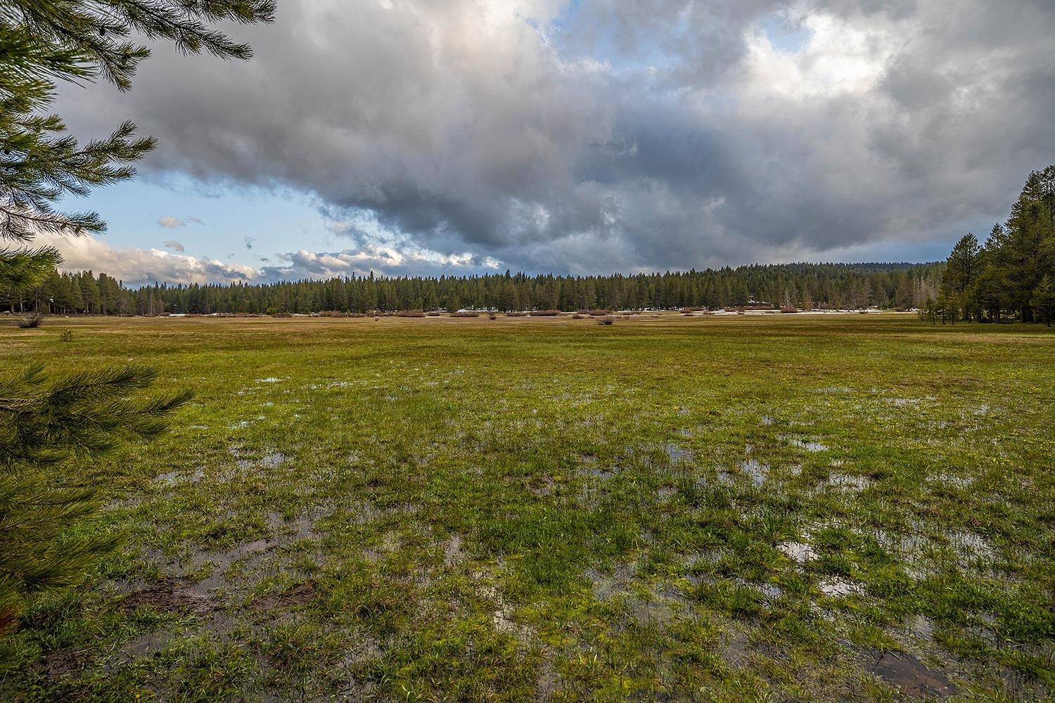 11602 Bennett Flat Road Truckee, CA 96161 - Photo 6 of 21 Gallery Image 6