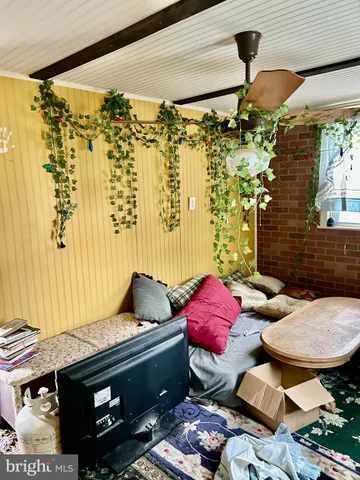 a view of path along with trees