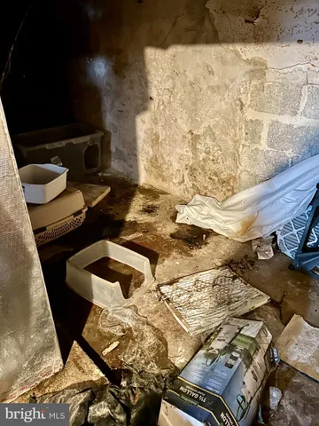 a front view of a house with a garden and plants