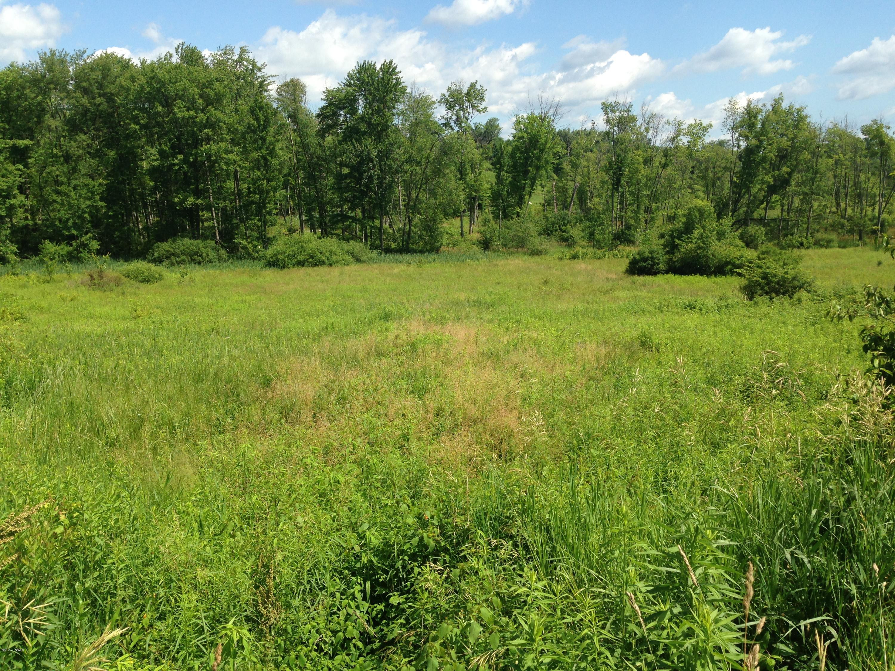 15 Adams Pond Road Hawley, PA 18428 - Photo 1 of 2