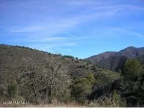 a view of a dry field