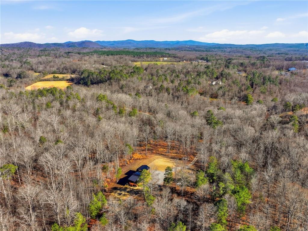 20-ac Ellijay Road Talking Rock, GA 30175 - Photo 8 of 9