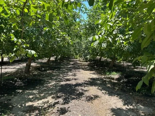 a view of outdoor space with deck and green space