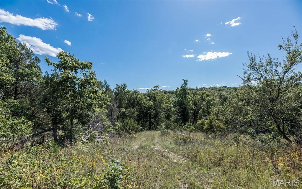 43 Acres /- Ridge Road Dittmer, MO 63023 - Photo 12 of 13 Gallery Image 12