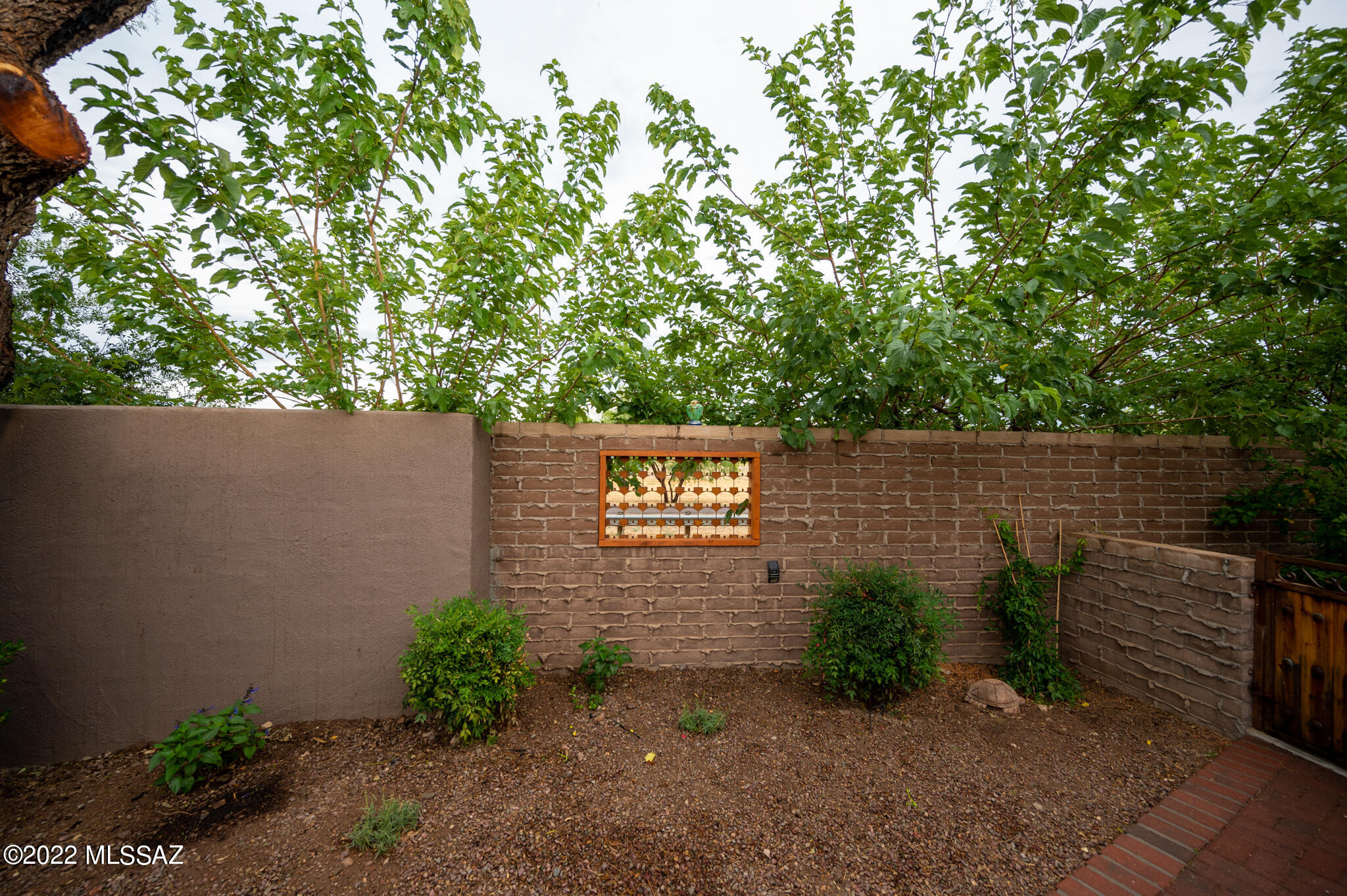 433 Colorado Court Rio Rico, AZ 85648 - Photo 8 of 50