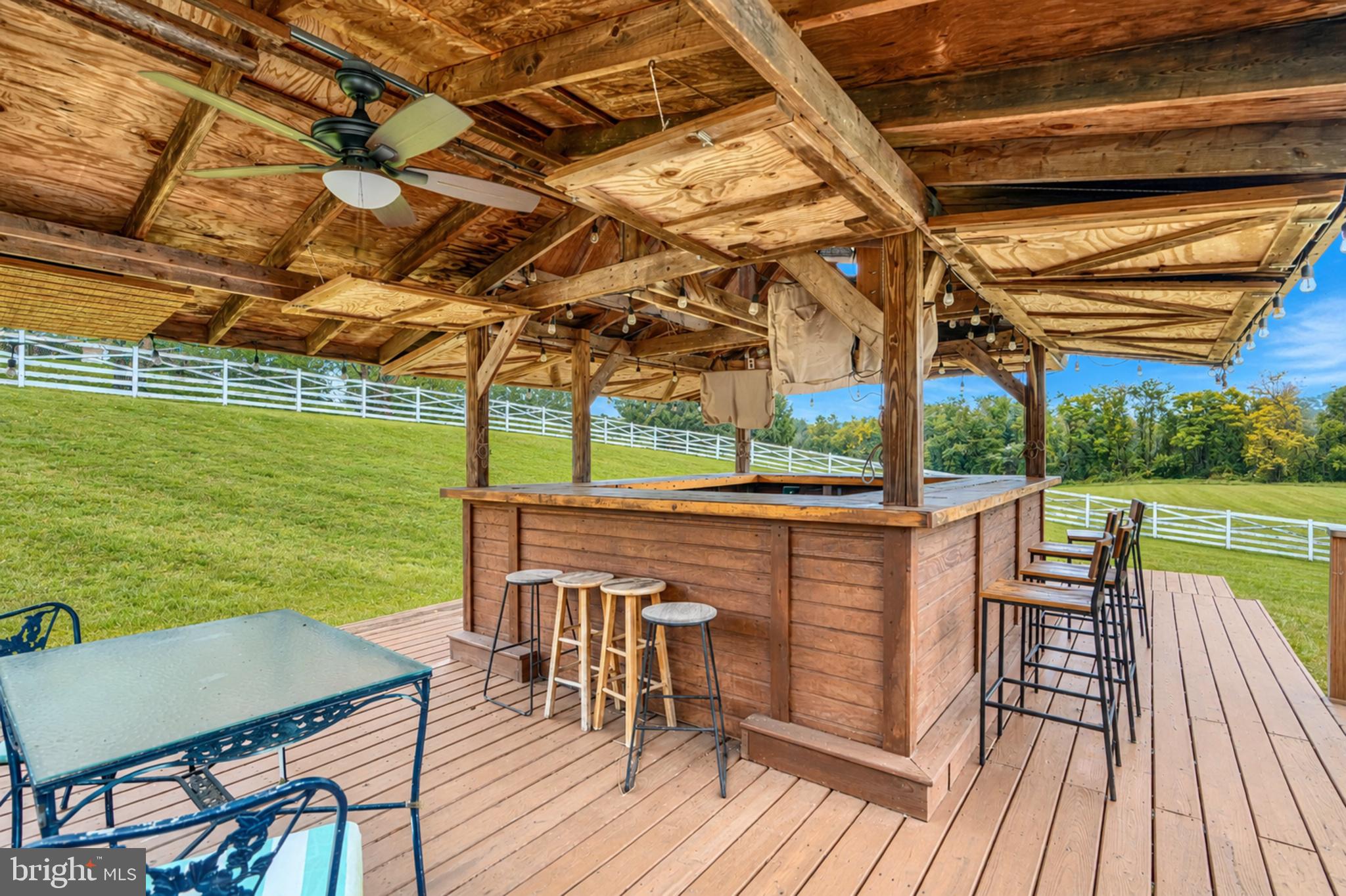 22909 Davis Mill Road Germantown, MD 20876 - Photo 54 of 54 Rear Tiki Bar (2 of 2)