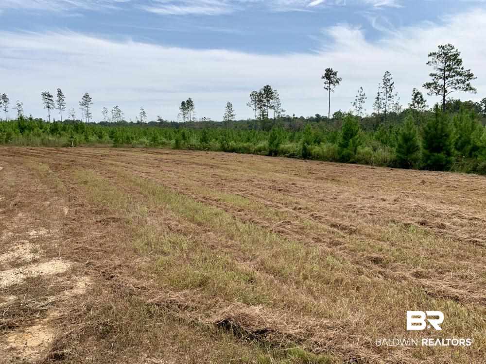 0 Country Road Mobile, AL 36608 - Photo 17 of 27