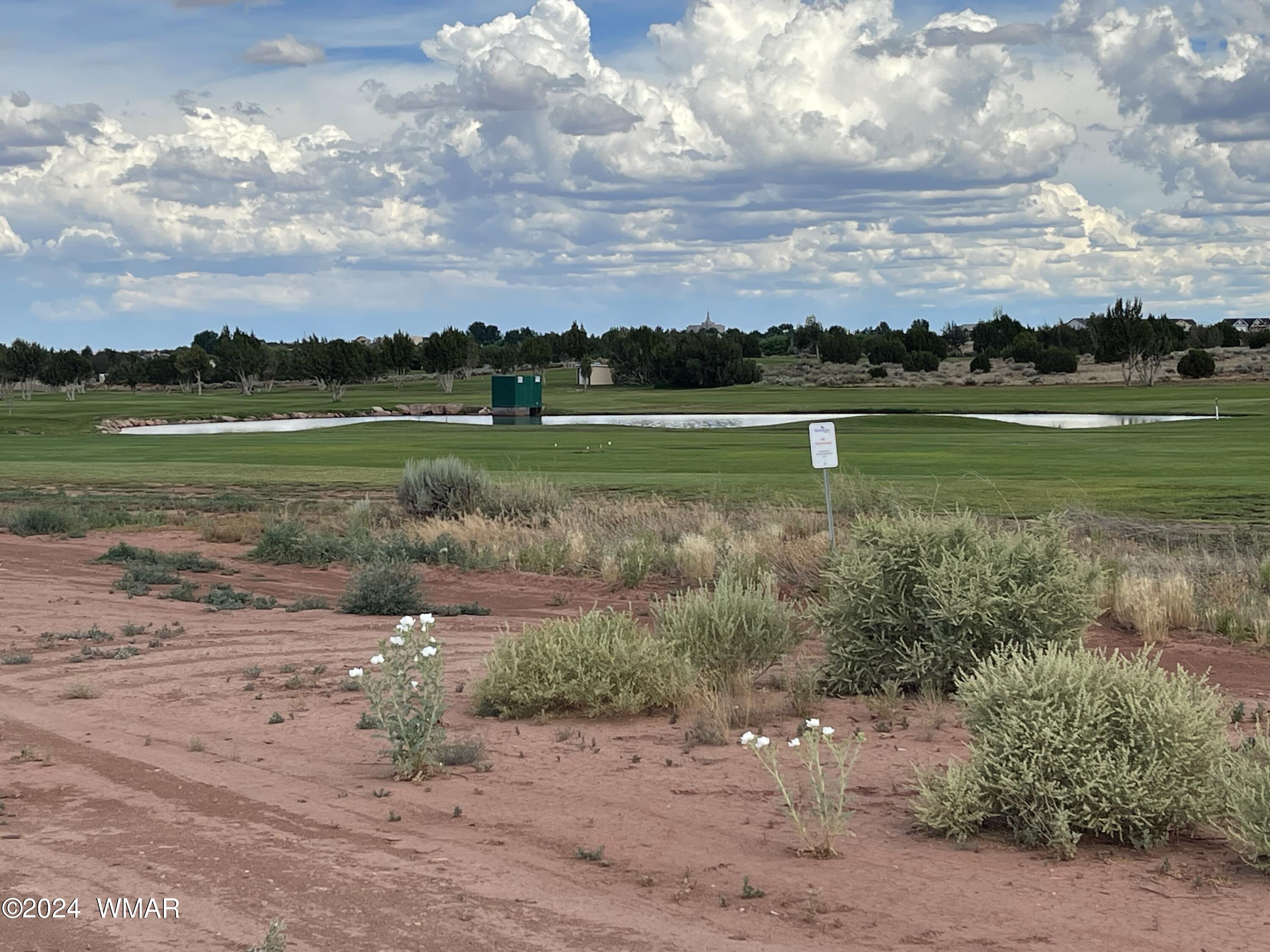 South side of the property backs up to the Snowflake Golf Course